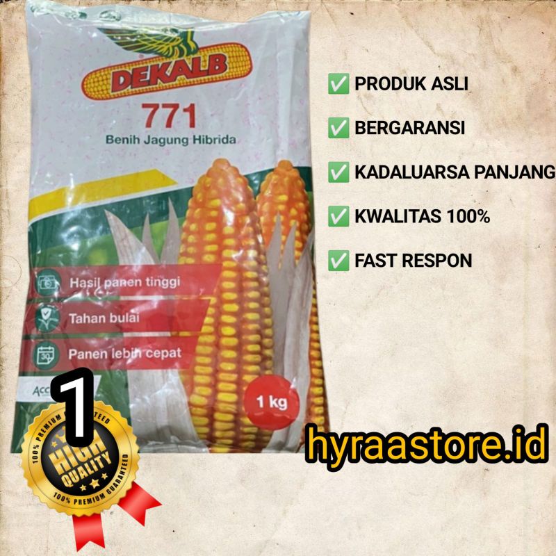 Benih jagung DK 771 - 1 kg september 2024