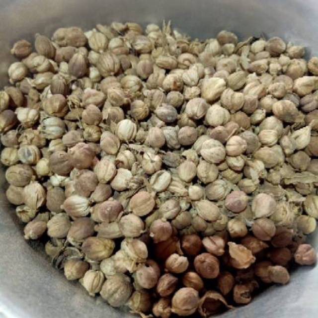 

Kapol laga kapol kering kapulaga 100 gr