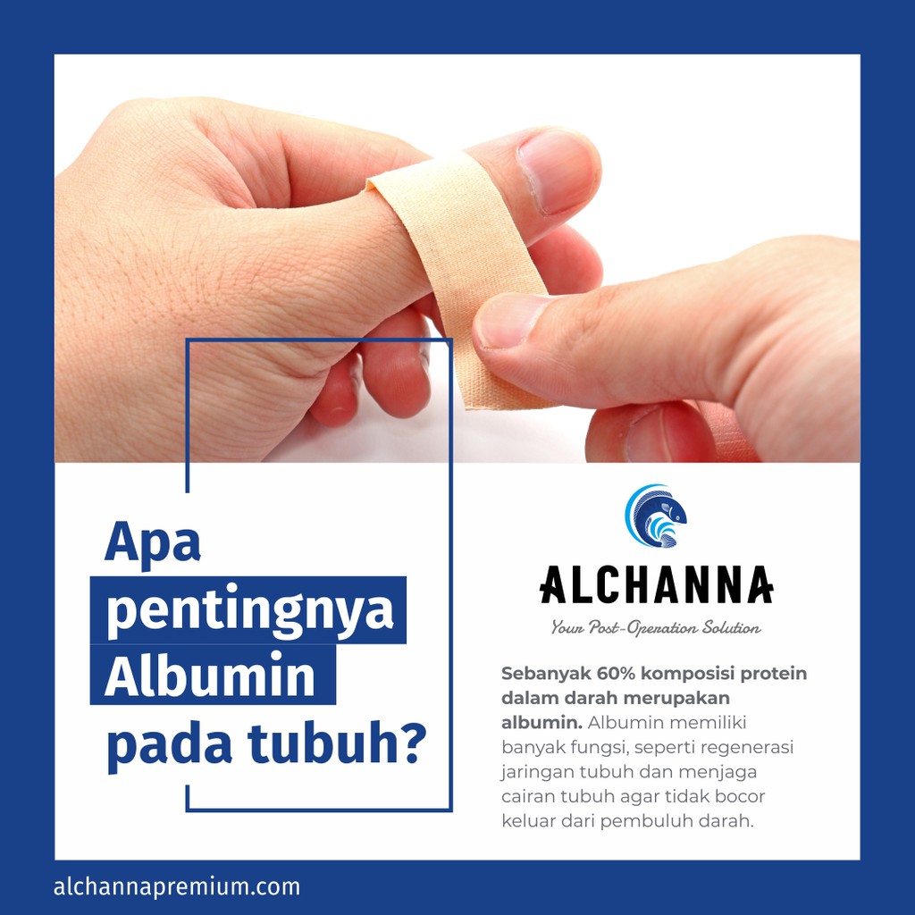 ALCHANNA PREMIUM Ekstrak Ikan Gabus Albumin Kutuk Premium Keringkan Luka Bakar Diabetes Luka Pasca Operasi - Naturafit BPOM