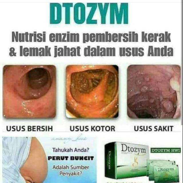 Fiber dan Enzim Pencernaan
