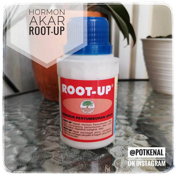Hormon Pertumbuhan Akar Tanaman Root Up Root-Up Pupuk Stek Cangkok