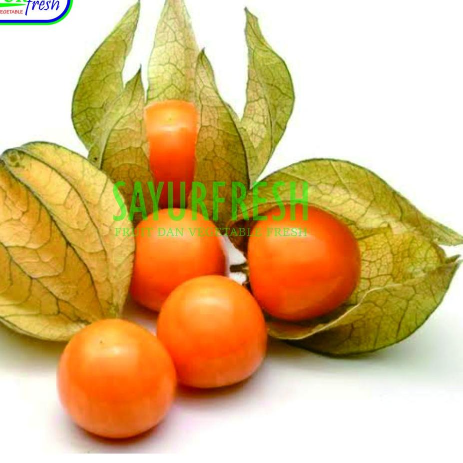 

Kirim Langsung QTP9M PROMO CIPLUKAN/CECENDET/GOLDEN BERRY 250 GRAM 37 Pasti Murah