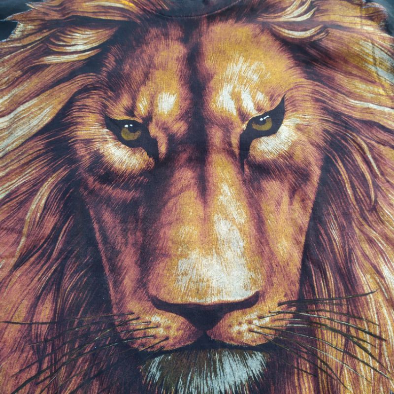 ❌ SOLD ❌ Tee Vintage Lion Fruit of the loom