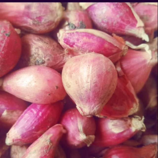 

Bawang merah brebes