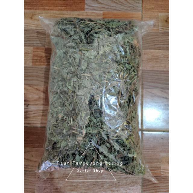 

Daun Tempuyung Kering 250gram