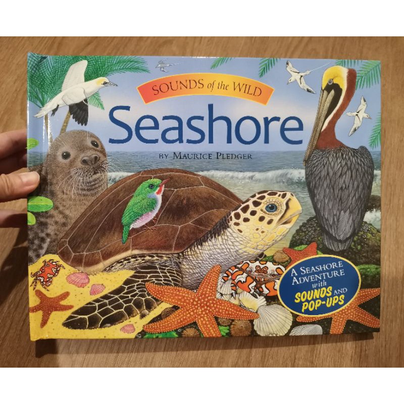 SOTW Sounds of The Wild Seashore