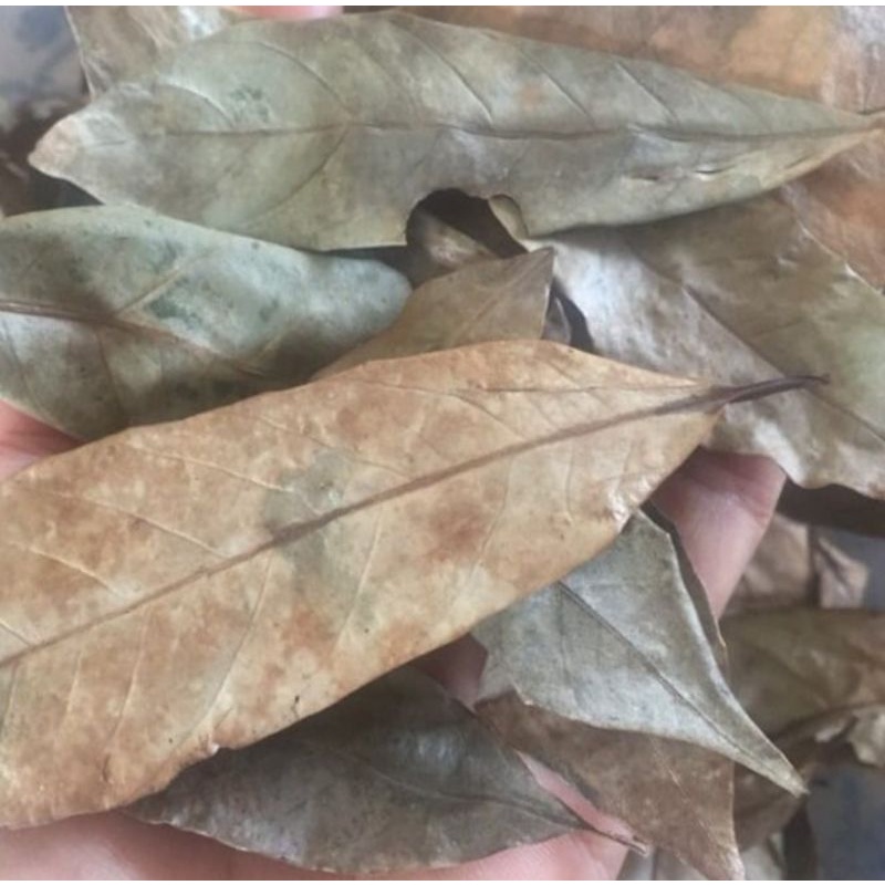 

DAUN PALA KERING ASLI TERNATE (250g)