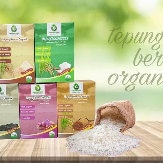 R4 - TEPUNG BERAS ORGANIC GRIONIC FOOD