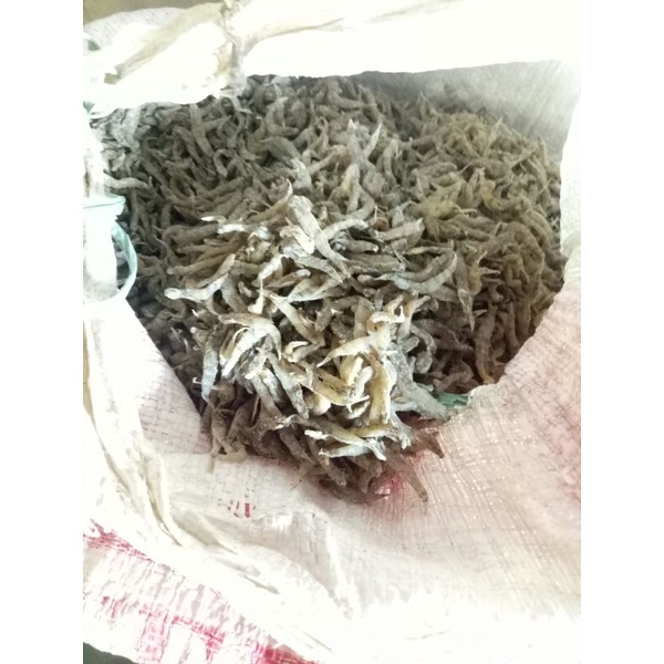 

IKAN PENJA KHAS SULAWESI 1 KG