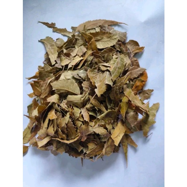 

daun mimba kering 50 gram