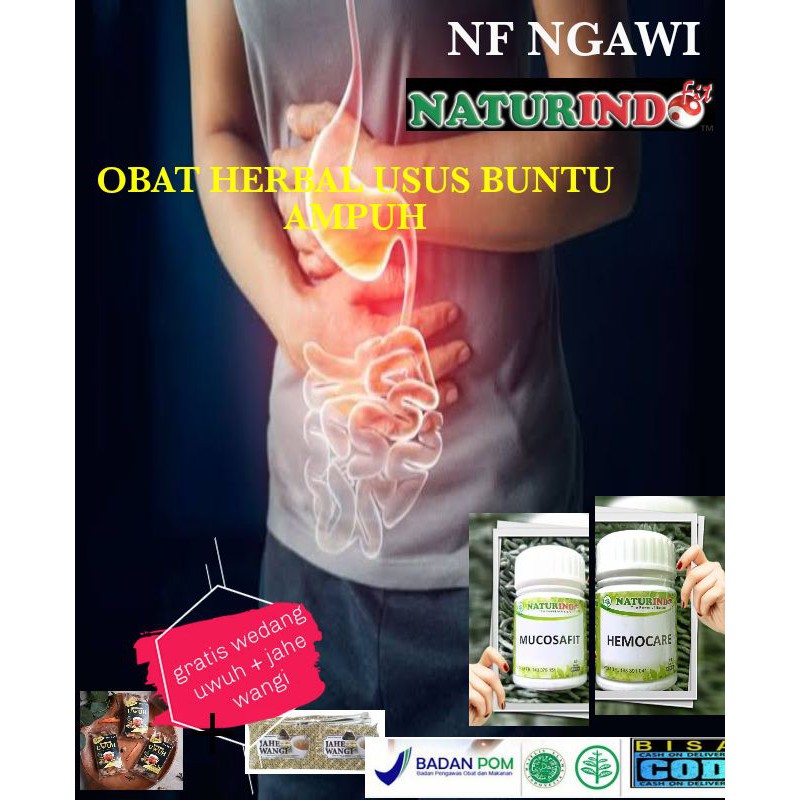 OBAT HERBAL USUS BUNTU AMPUH-OBAT USUS BUNTU TANPA OPERASI-OBAT USUS BUNTU AMPUH