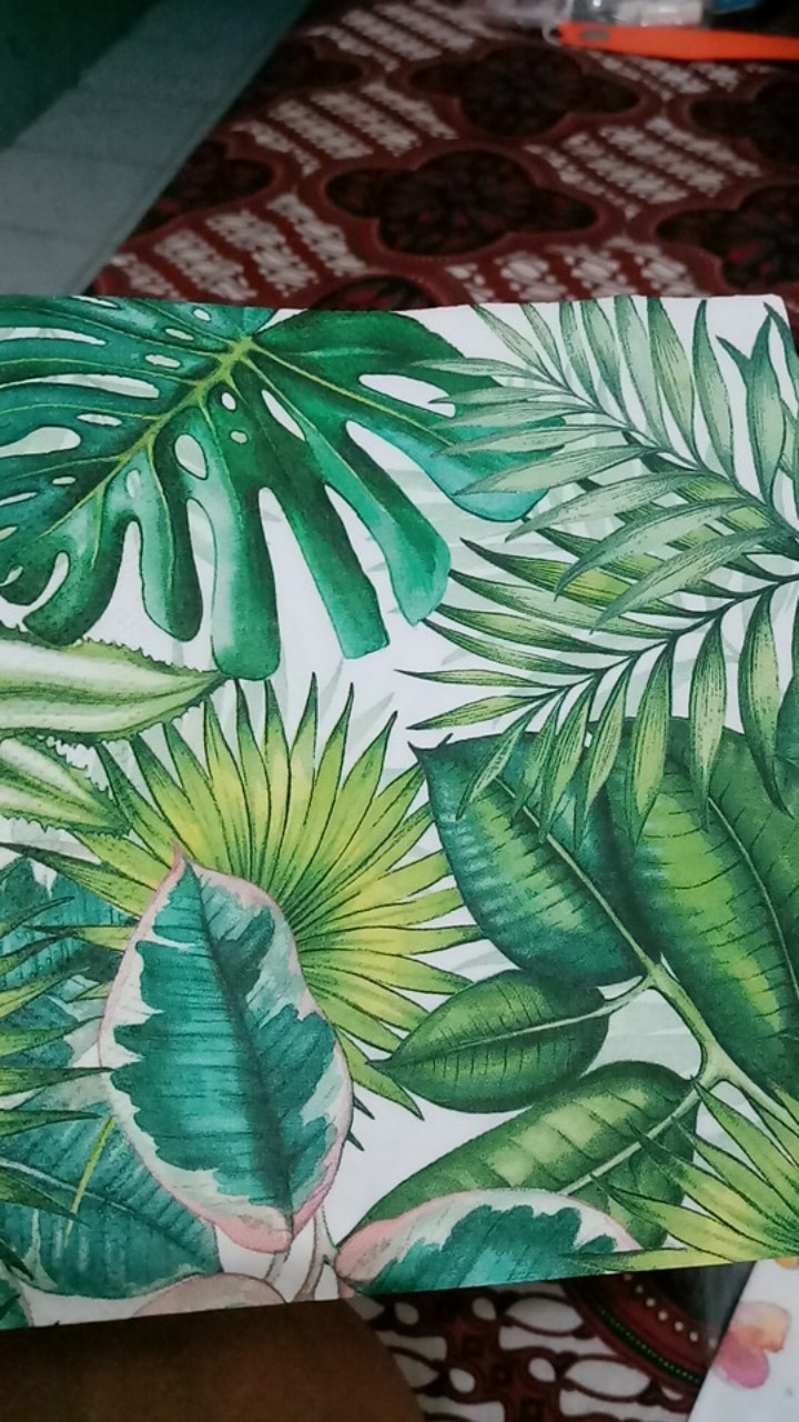 Napkin Decoupage - Tisu Eropa - Sc 325