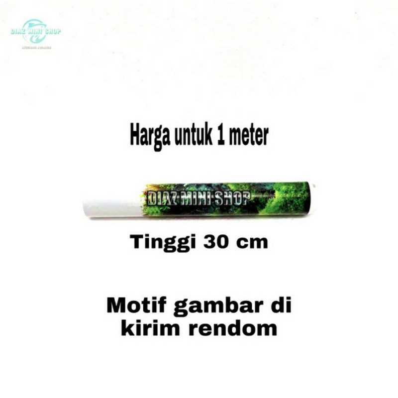 Gambar latar aquarium background aquarium tinggi 30 cm