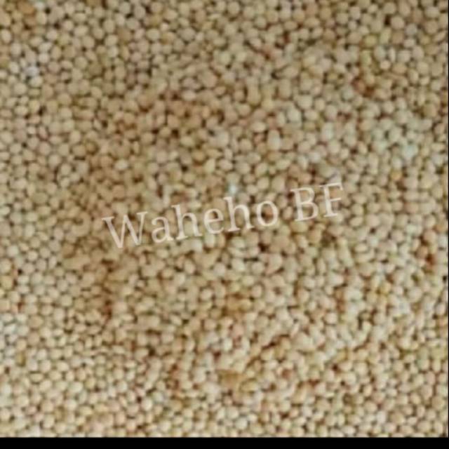 Milet Putih Kiloan (1KG)