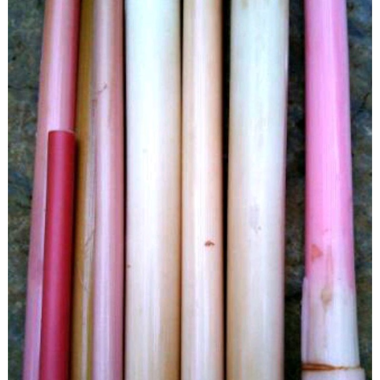 

Pohon kecombrang merah /1kg