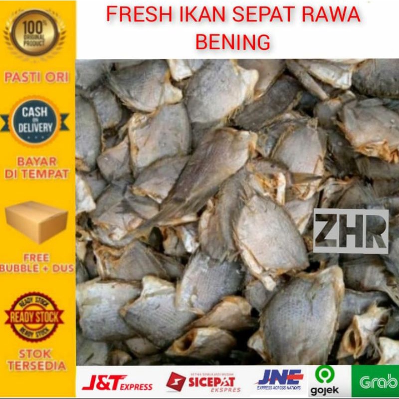 

Ikan asin Sepat rawa bening-1kg - ZHR