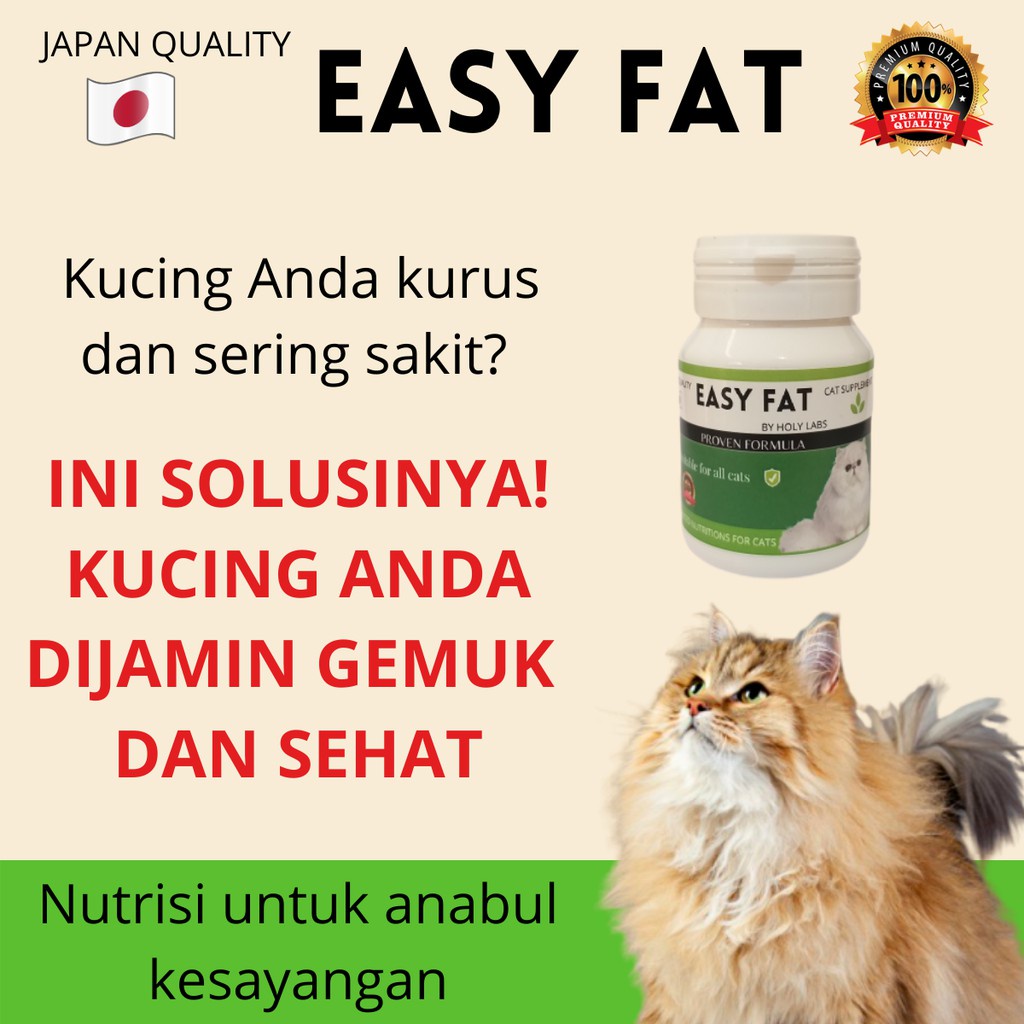 EASY FAT VITAMIN KUCING TERBAIK OBAT KUCING KURUS KUCING PERSIA KUCING ANGORA ANGGORA