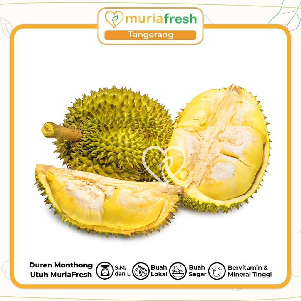 

Duren Montong Kenji Buahan | Durian Monthong