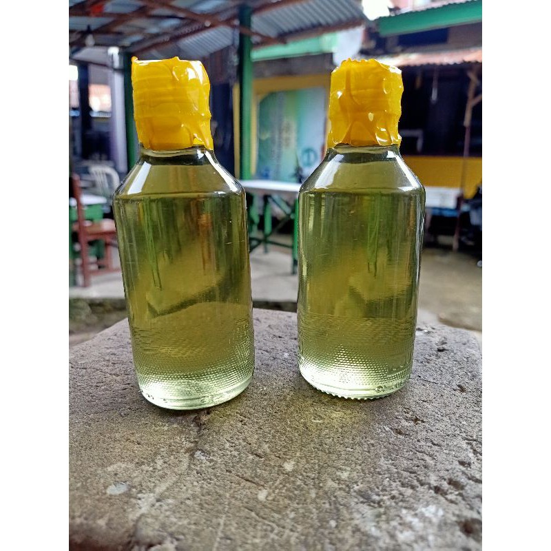 Minyak kayu putih asli Pulau Buru