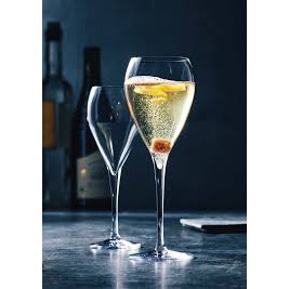 Bormioli Rocco Sparkling Wine Glass/Gelas Kaki//Gelas Kaca Bormioli Rocco Wine