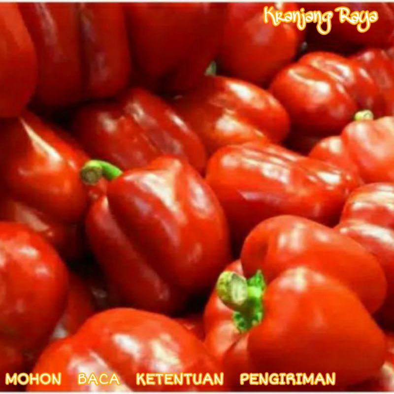 Paprika merah