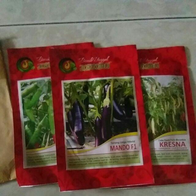Isi 5 Gram Bibit Terong Ungu Hibrida Mando F1 | Benih Terong | Bibit Sayuran