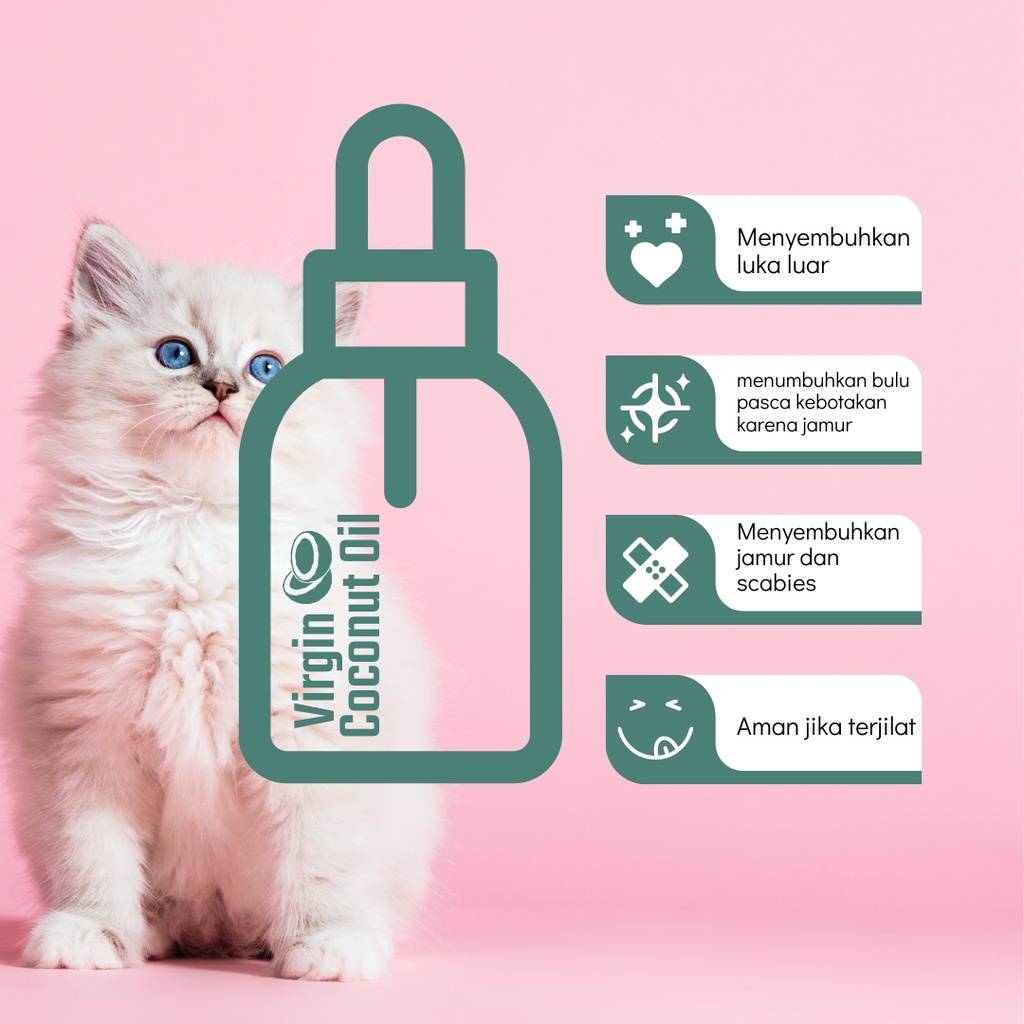 VIRGIN COCONUT OIL 15ml UNTUK KUCING KAREIN OBAT JAMUR UNTUK KUCING SCABIES KUCING ANJING KELINCI HEWAN