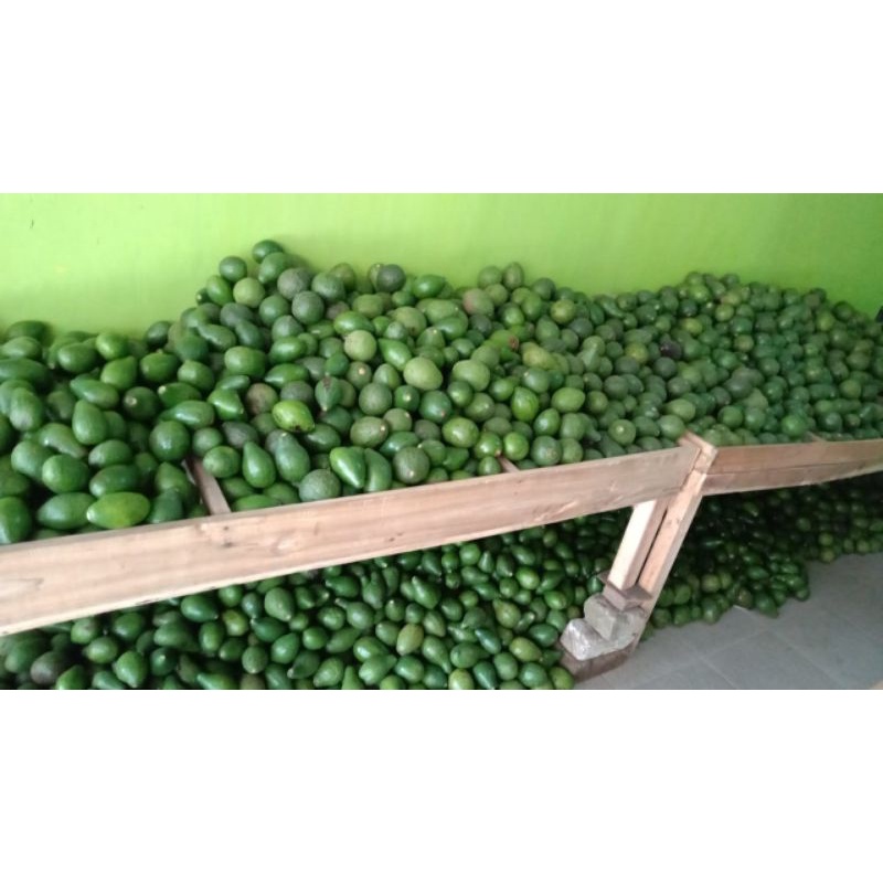 

alfuket mentega 1kg/456