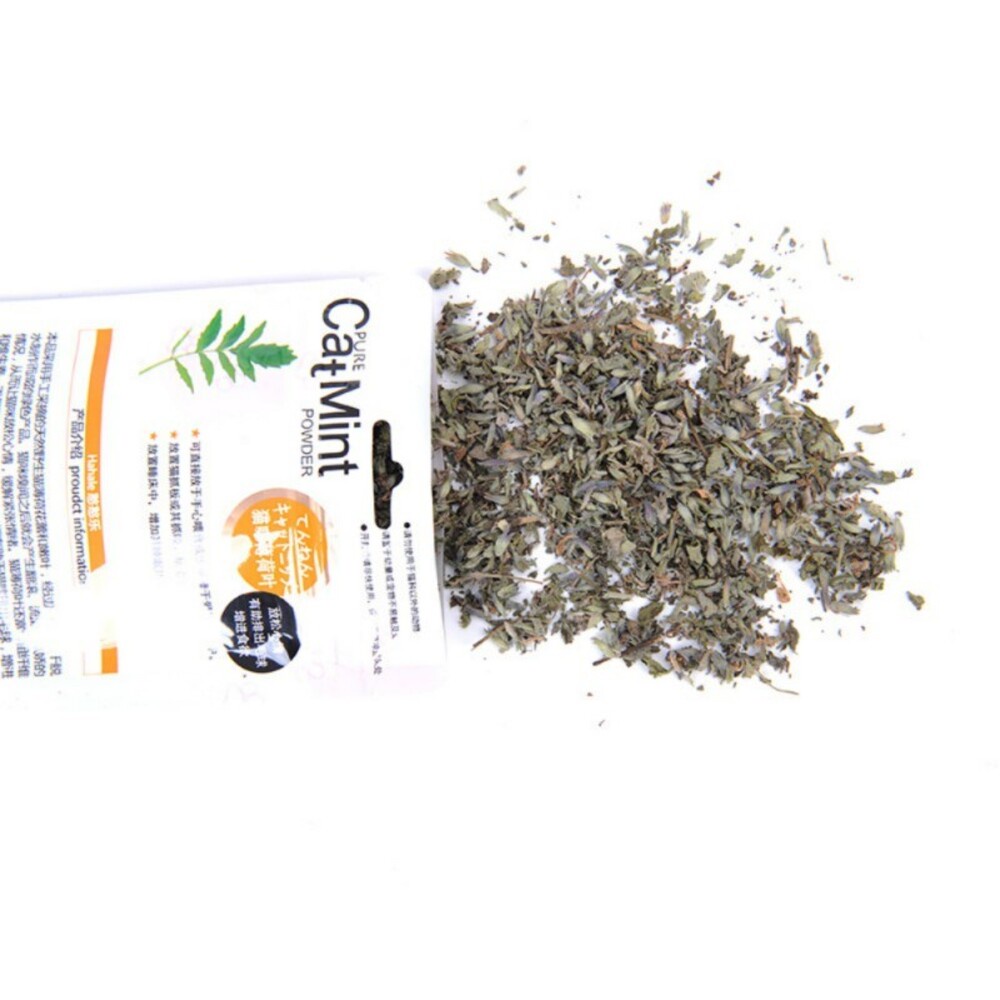 Natural Organik Cat Mint Pure Powder 5 gr