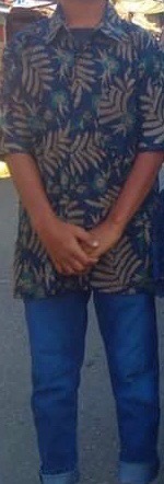 Bswart Batik Hrb026 Kenongo Hem Batik Daun Putri Malu Kemeja Batik Pria