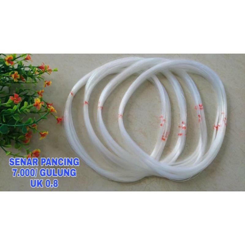 1 Rol Senar Pancing Senar 08 Senar Bening Senar Kakap