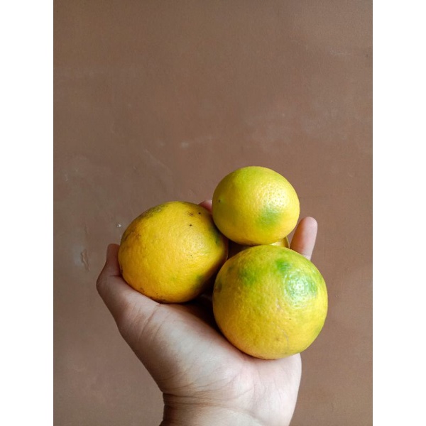 

Jeruk Lemon California 500 Gr