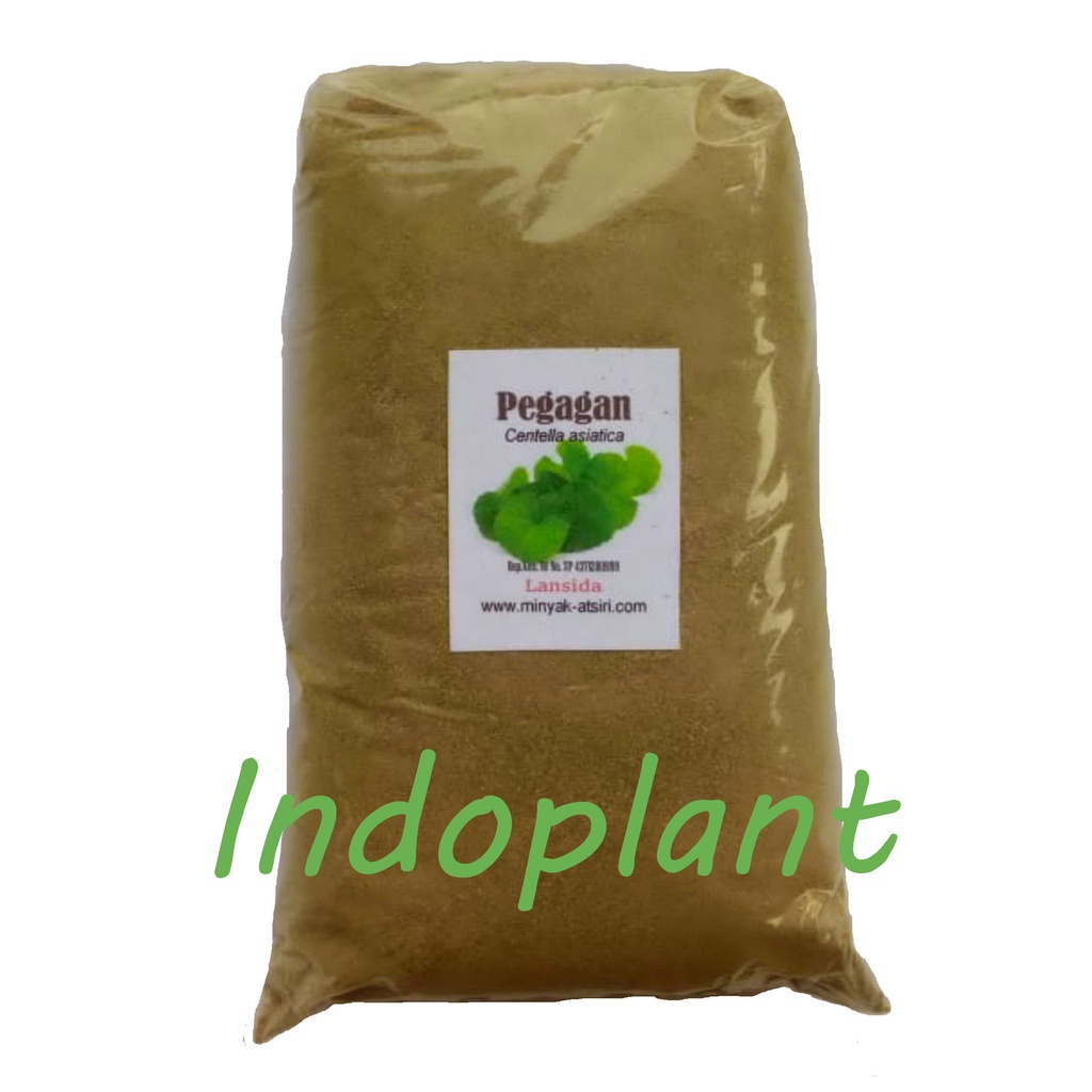 Serbuk Pegagan 250 g Simplisia Bubuk Antanan Centella asiatica Herba Powder