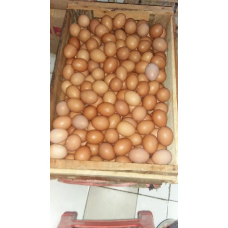 

Telor negri 1 Kg