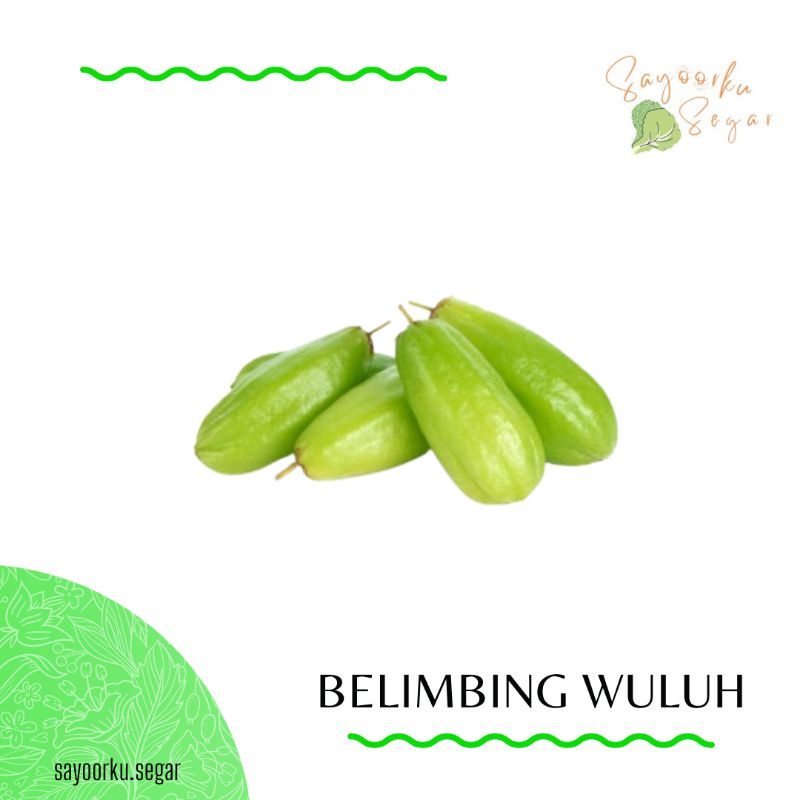 

KIRIM BESOK Blimbing wuluh / belimbing sayur 1 pack
