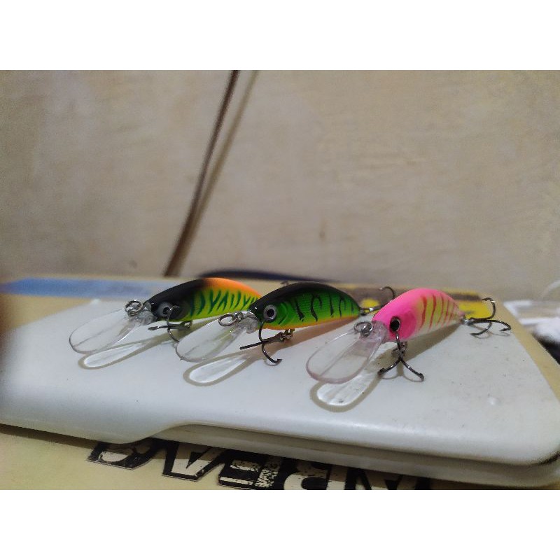 Minnow lidah panjang