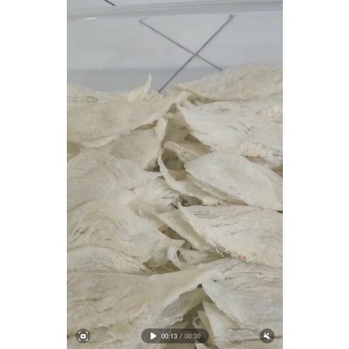 

Patahan natural sarang burung walet