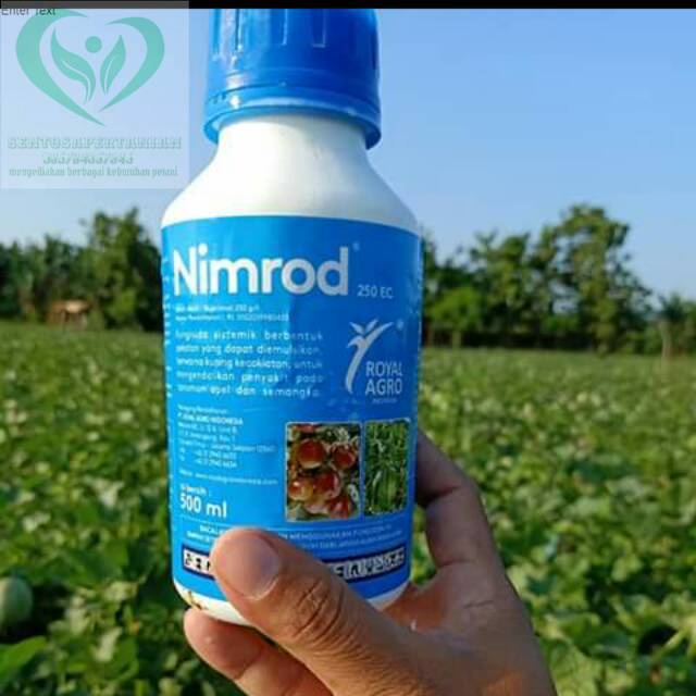 fungisida sistemik  NIMROD 250EC 500ml dari ROYAL AGRO untuk embun tepung pada tanaman anda