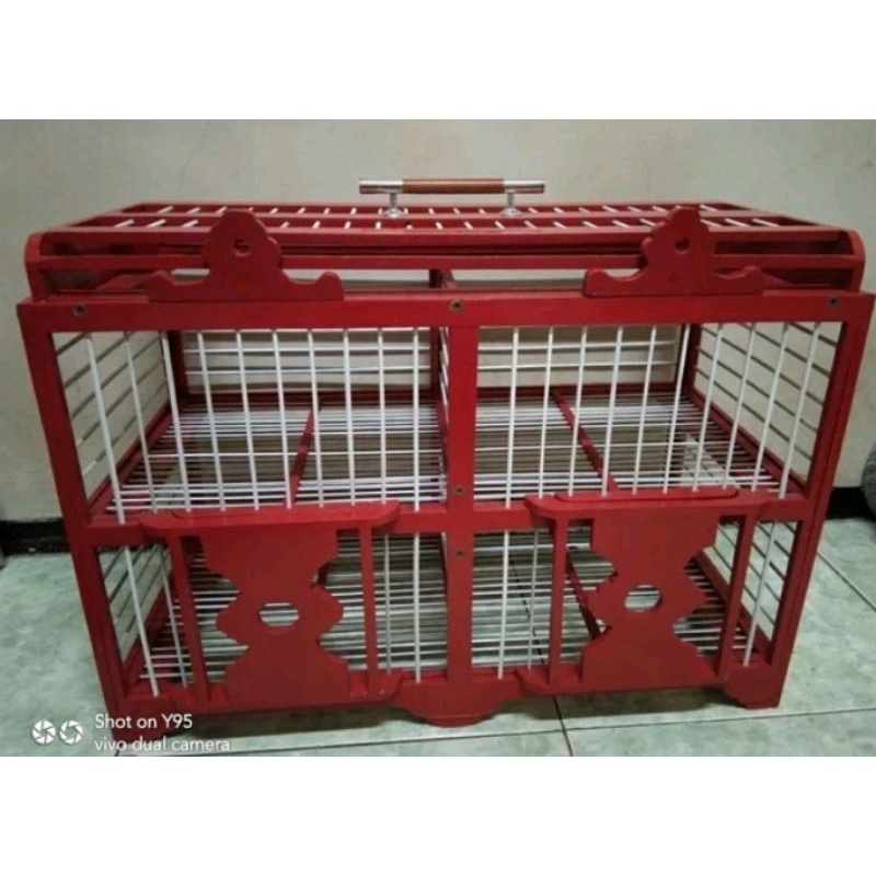 dongdang merpati lipat