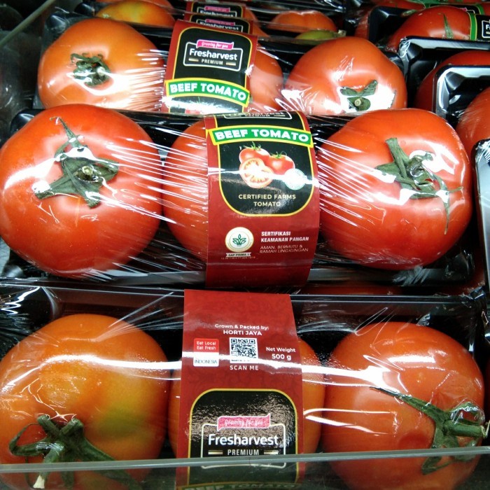 

FRESHARVEST BEEF TOMATO 500 GR - BUAH TOMAT