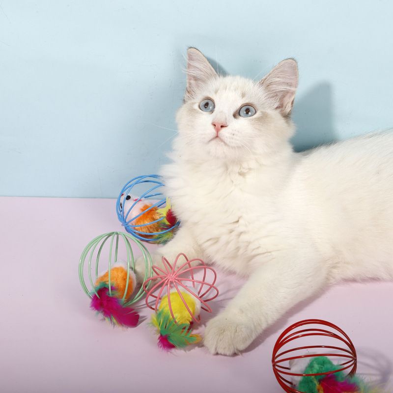 Mainan Tangkap Bola Dengan Bulu Bahan metal Untuk Kucing