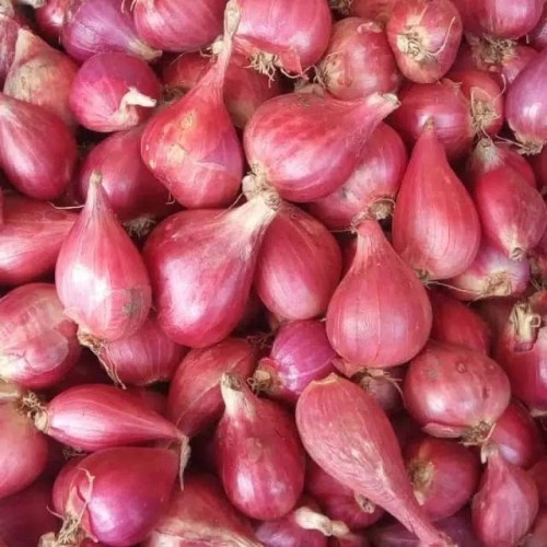 

bawang merah brebes pilihan super 1Kg