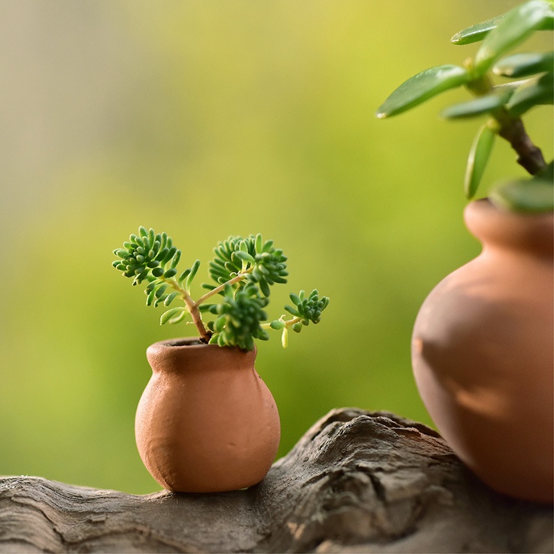 Small Mini Terracotta Flowers Pot Clay Ceramic  Round Pottery Succulent Plant Pots / Home Garden Balcony Mini garden Accessories Pocket Thumb Fleshy Leaf Cutting Flower Pots /For Office Home Desktop Decor