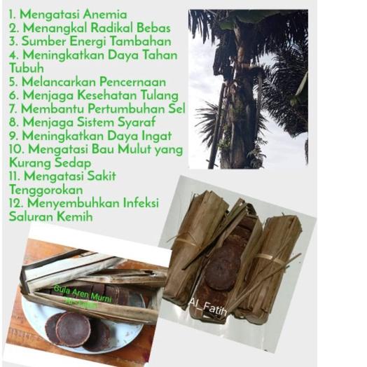 

Best! Gula Aren Gula Kawung Asli Murni GARANSI ORIGINAL
