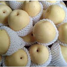 

Buah Kualitas Premiun ( Pear Century ) Kemasan 500 gram - 1 Kg / Pir Century