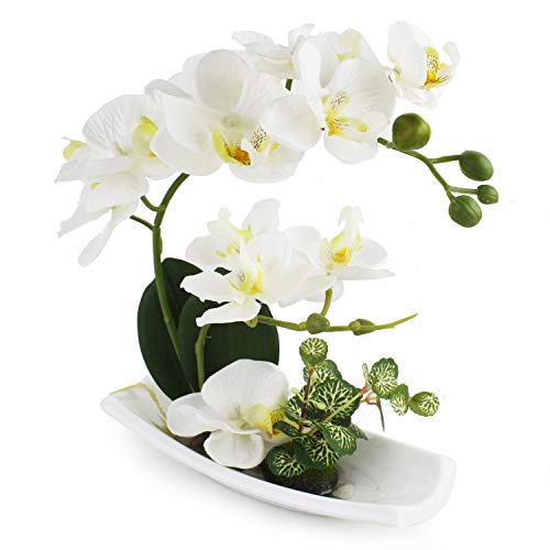 Naindo Anggrek Orchid Titanik hiasan ruang tamu & kantor- bunga sudut- bunga artifisial
