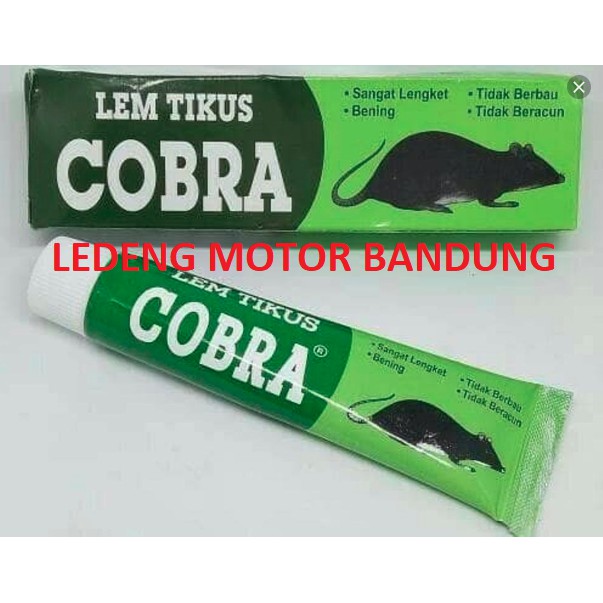 Lem Tikus Cobra Jebakan Tempel Kuat Lengkep Trap Racun Usir Kecoa 70gr