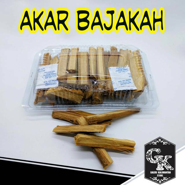  Akar  Bajakan  Obat Kanker AKARKUA