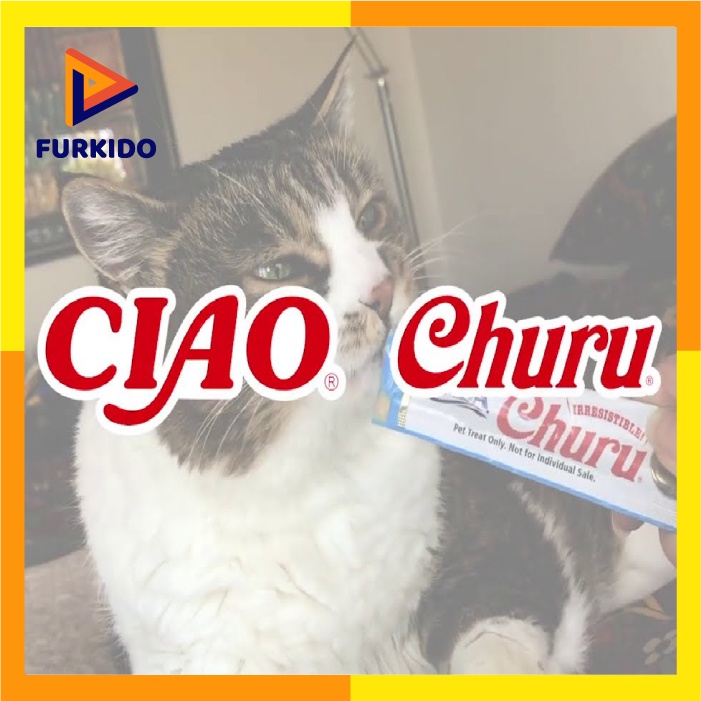 Ciao Churu Cat Skin &amp; Coat 56 Gr / Snack Kucing / Creamy Cat Treats