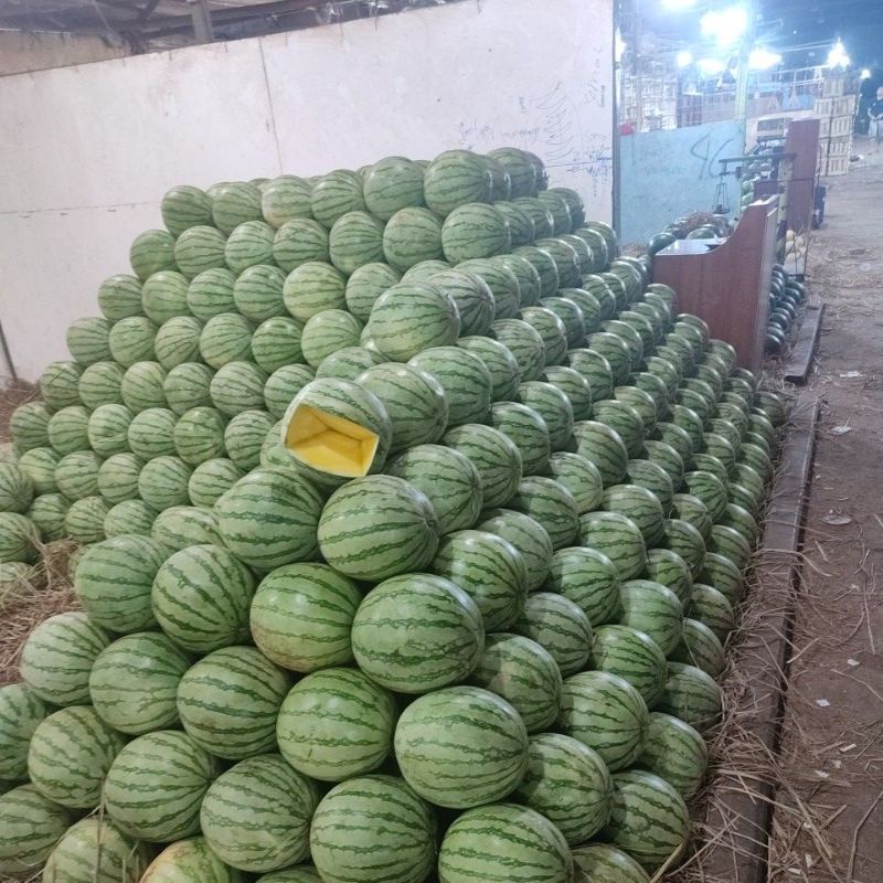 

semangkamerah dan semangka kuning